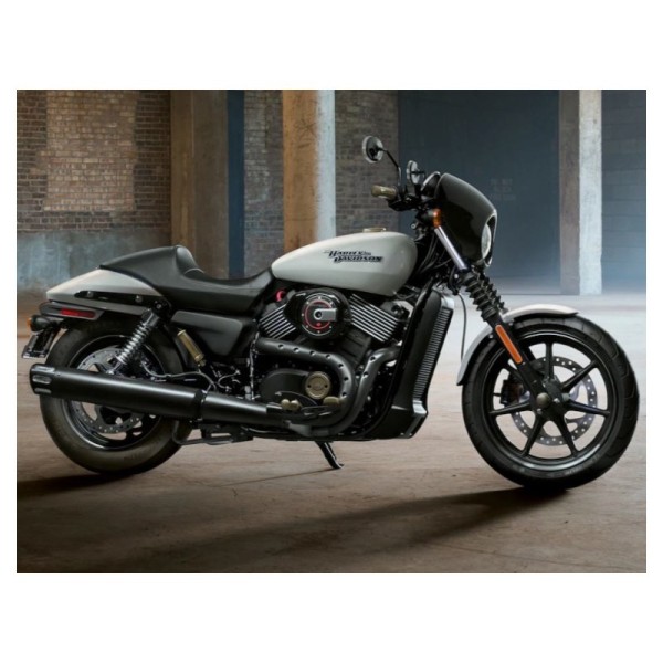 ARG Spirit: Support de plaque d'immatriculation latérale avec éclairage LED pour Harley-Davidson 750 Street ARG Spirit: Support de plaque d'immatriculation latérale avec éclairage LED pour Harley-Davidson 750 Street