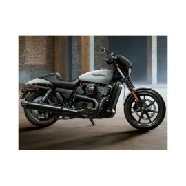 ARG Spirit: Kit plaque et feux Hawak + clignotants AR Pin pour Royal Enfield GT650